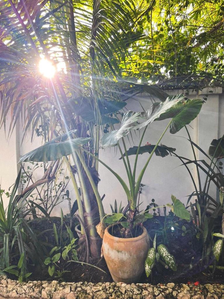 Nakupenda Paje Villa Exterior foto